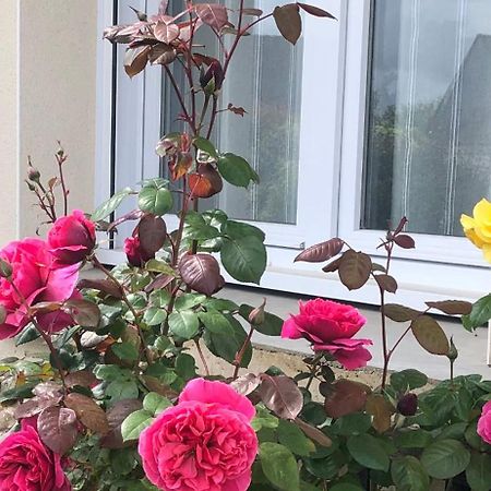 Chambre Chez L'Habitant "Les Roses De Sene" Exterior photo