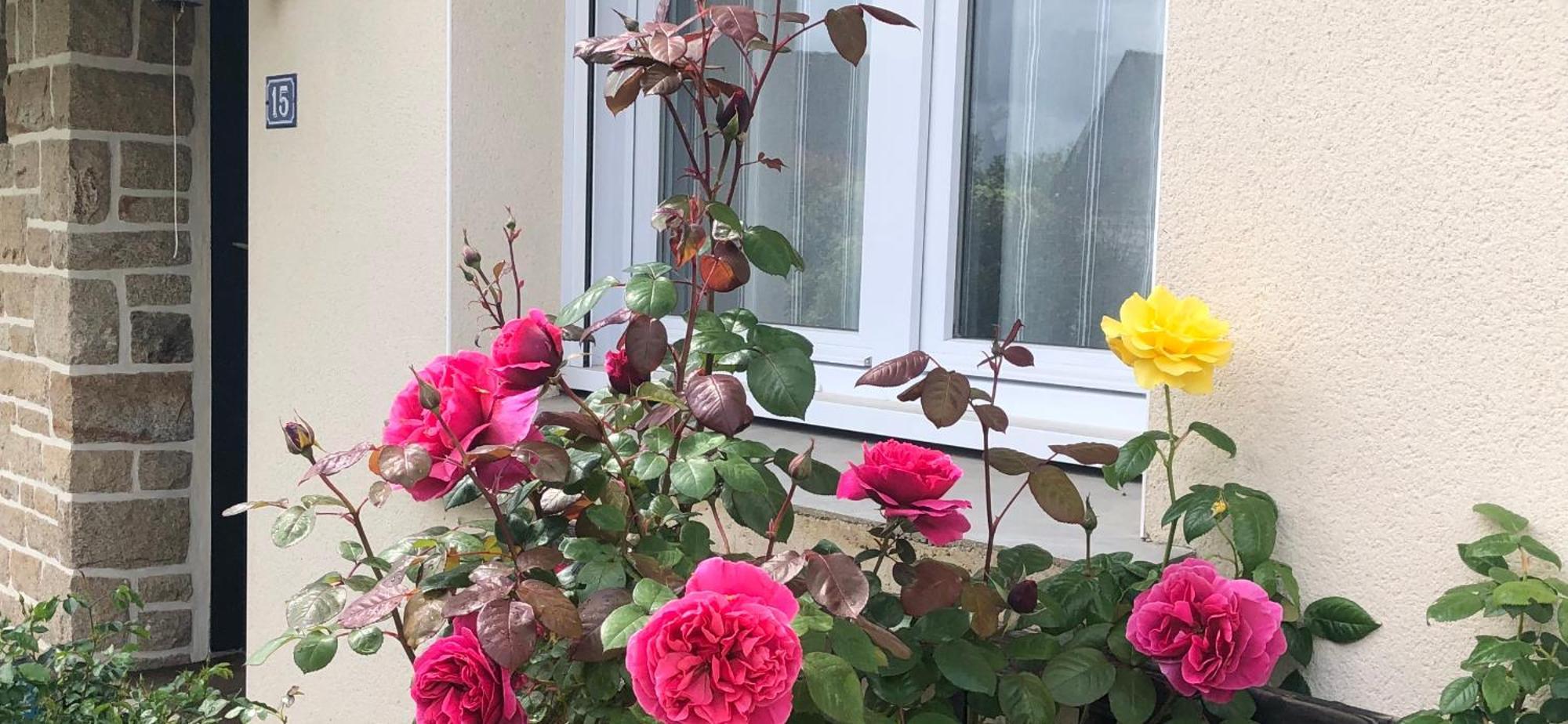 Chambre Chez L'Habitant "Les Roses De Sene" Exterior photo